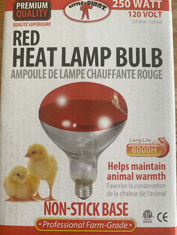 Heat Lamp Bulb - 250 Watt - Red