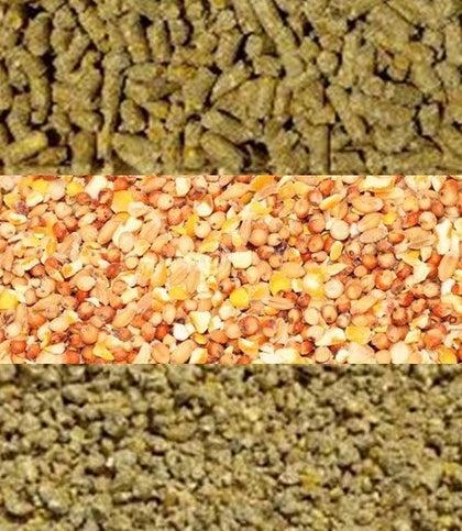 Poultry Feed