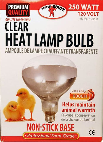 Heat Lamp Bulb - 250 Watt - Clear