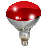 Heat Lamp Bulb - 250 Watt - Red