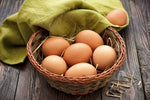 Barred Rock (Chicks/Females)