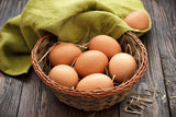Barred Rock (Chicks/Females)