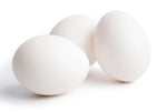 NOVOgen White (Chicks/Females)