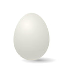 White Leghorn (Chick/Females)